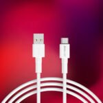 JTC-21 Type-C Data Cable