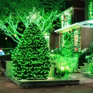10 Meter Long Green LED Power Pixel 5mm Serial String Light, 360 Degree Light in Bulb Copper Green Led Pixel 5mm String Light for Home Decoration, Diwali, Christmas, Indoor Outdoor Decoration